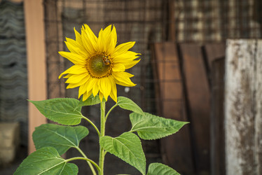 Similar image 22693800