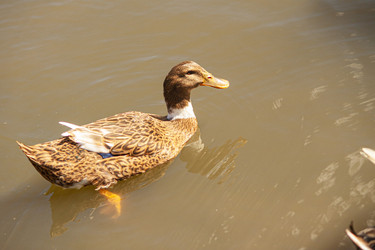 Similar image 22693844