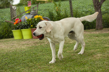 Similar image 22694369