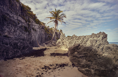 Similar image 22694490