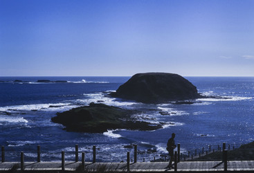 Similar image 22665742