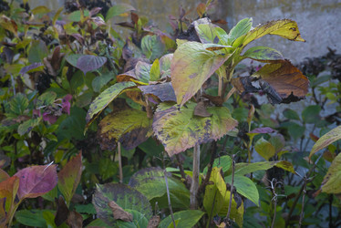 Similar image 22680172