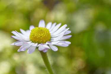 Similar image 22680187