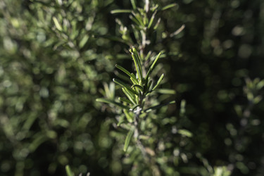 Similar image 22694776