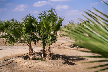 Similar image 22665638