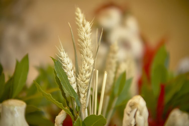 Similar image 22666126