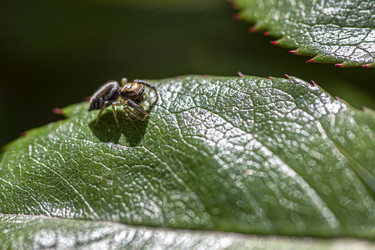 Similar image 22694311