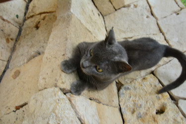 Similar image 22694626