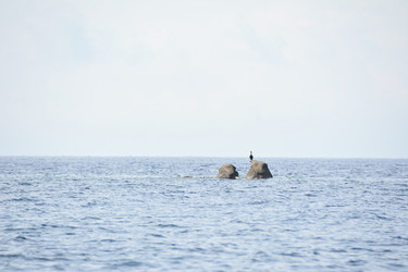 Similar image 22694791