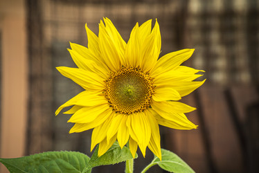 Similar image 22665518