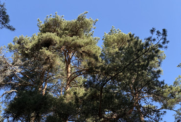 Similar image 22664479