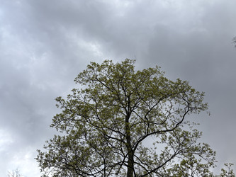Similar image 22664483