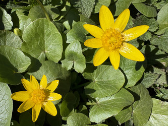 Similar image 22664487