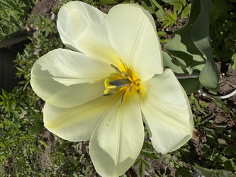 Similar image 22664493
