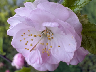 Similar image 22664494