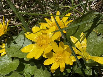 Similar image 22664499