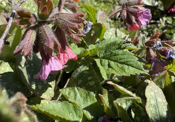 Similar image 22664508