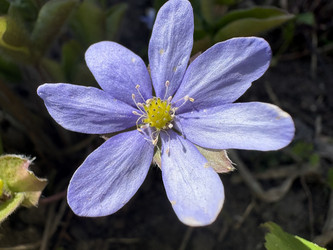 Similar image 22664513
