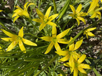 Similar image 22664526