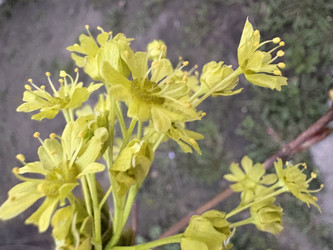 Similar image 22664530