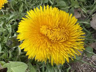 Similar image 22664439