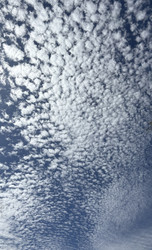 Similar image 22664467