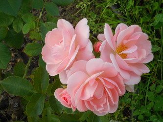Similar image 22664090