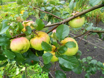 Similar image 22664091