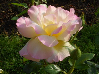 Similar image 22664092