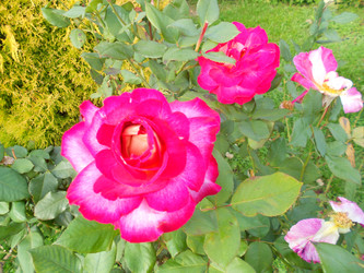 Similar image 22664110