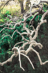 Similar image 22729701