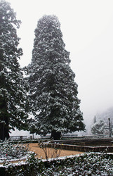 Similar image 22738623