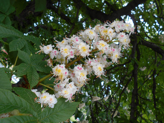 Similar image 22664081