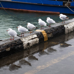 Similar image 22688001