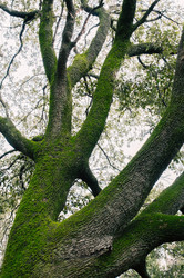 Similar image 22679151