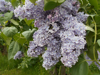 Similar image 22664095