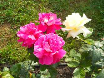 Similar image 22666292