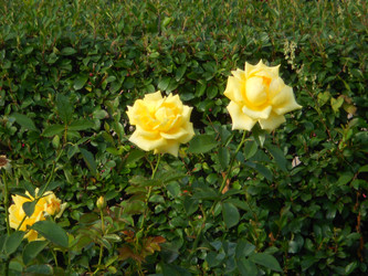 Similar image 22666294