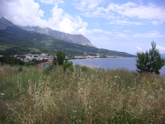 Similar image 22666296