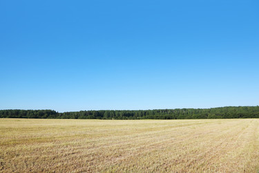 Similar image 22670205