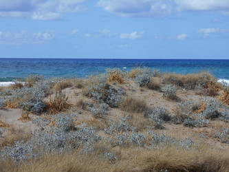 Similar image 22666298