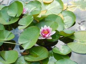 Similar image 22666299