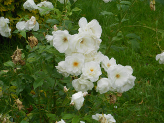Similar image 22666300