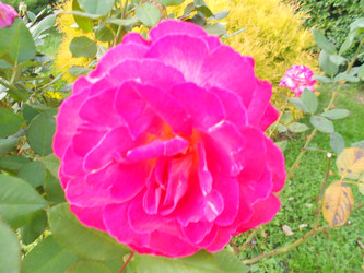Similar image 22666301