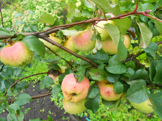 Similar image 22666302