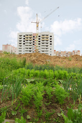 Similar image 22671109