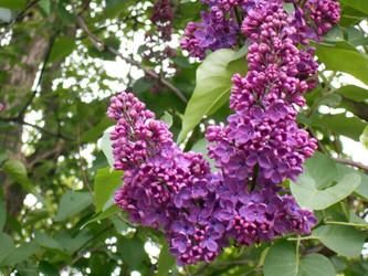 Similar image 22666303