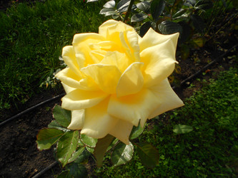 Similar image 22666304