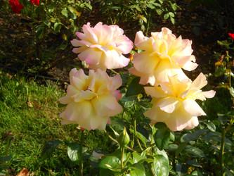 Similar image 22666316
