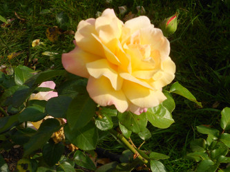 Similar image 22666317